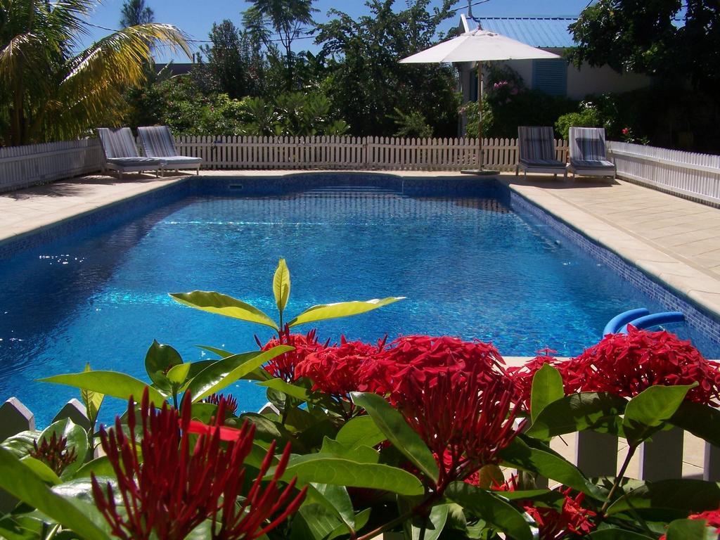 Bed And Breakfast Maison Papaye La Gaulette Exterior foto
