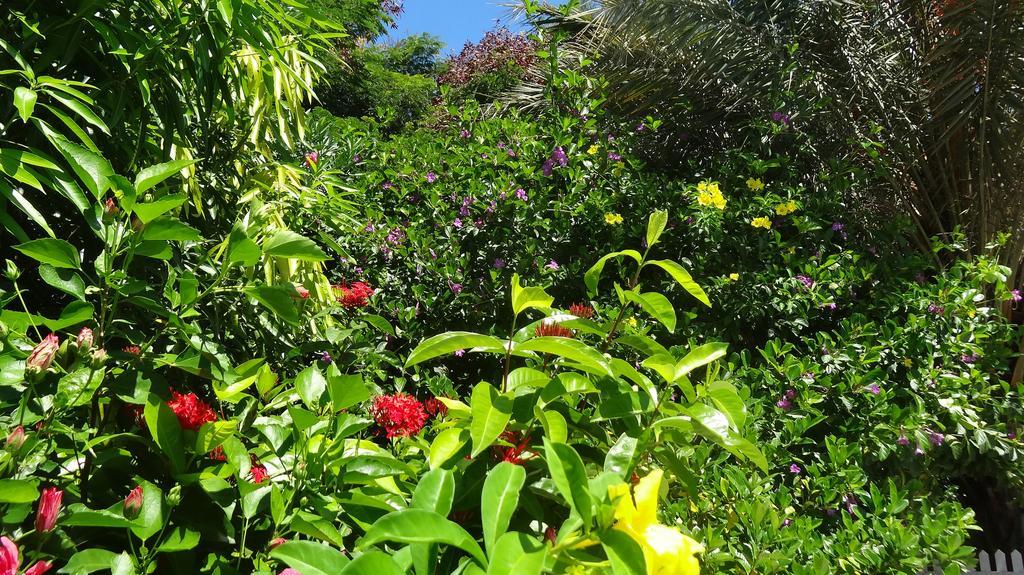 Bed And Breakfast Maison Papaye La Gaulette Exterior foto